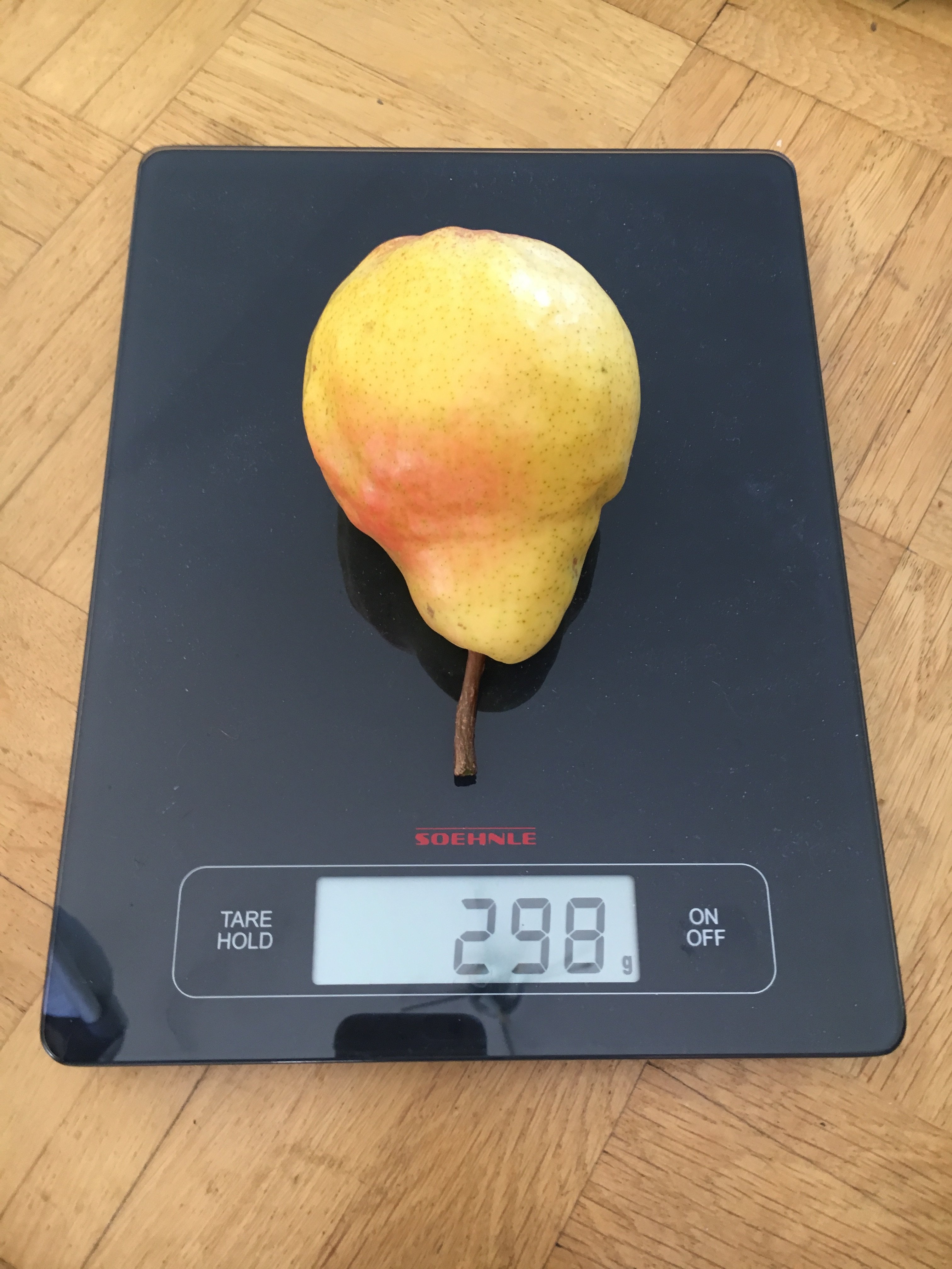 artissimo_gallerie thumb